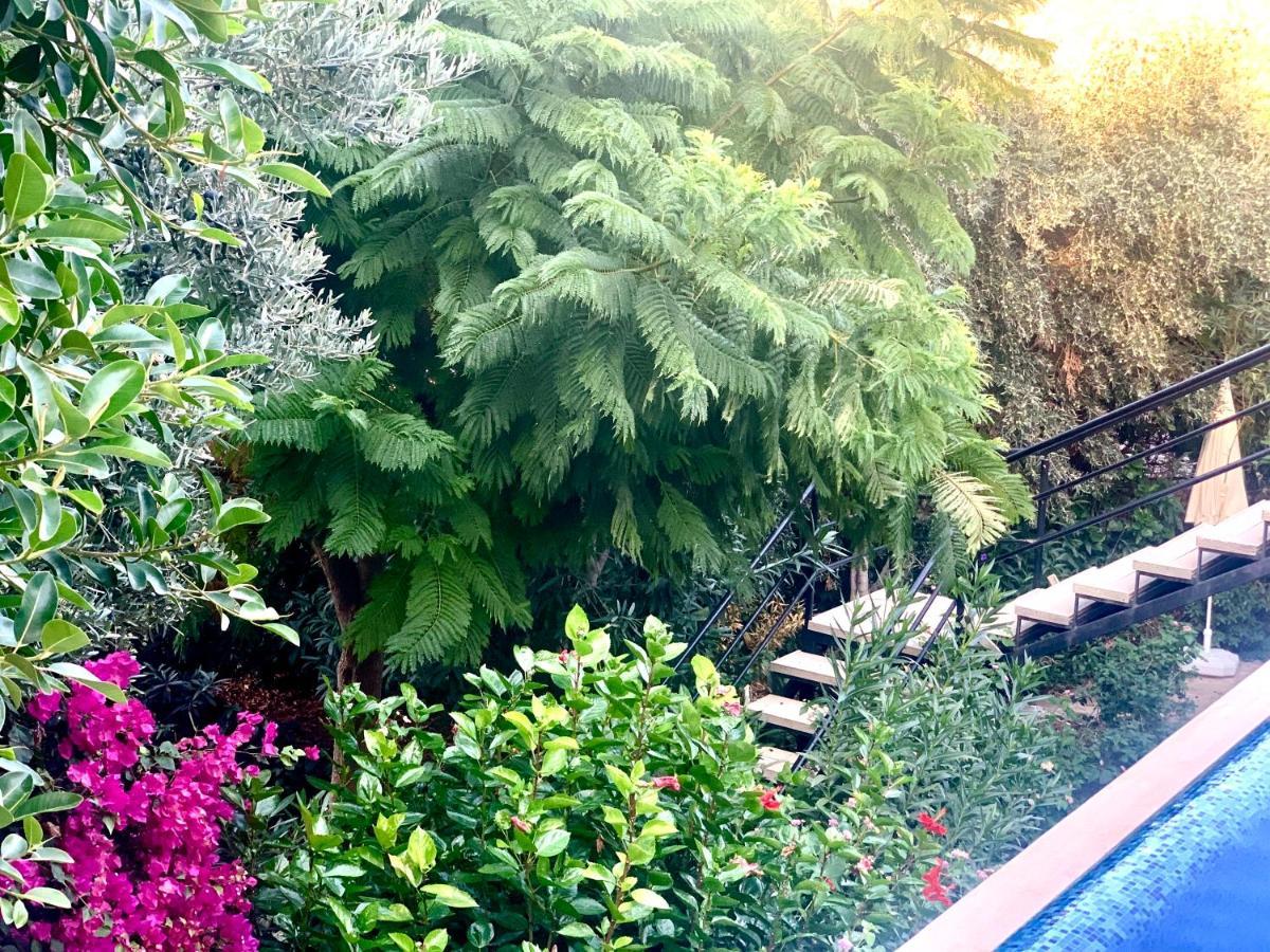 Club Hotel Barbarossa Kaş Exteriér fotografie