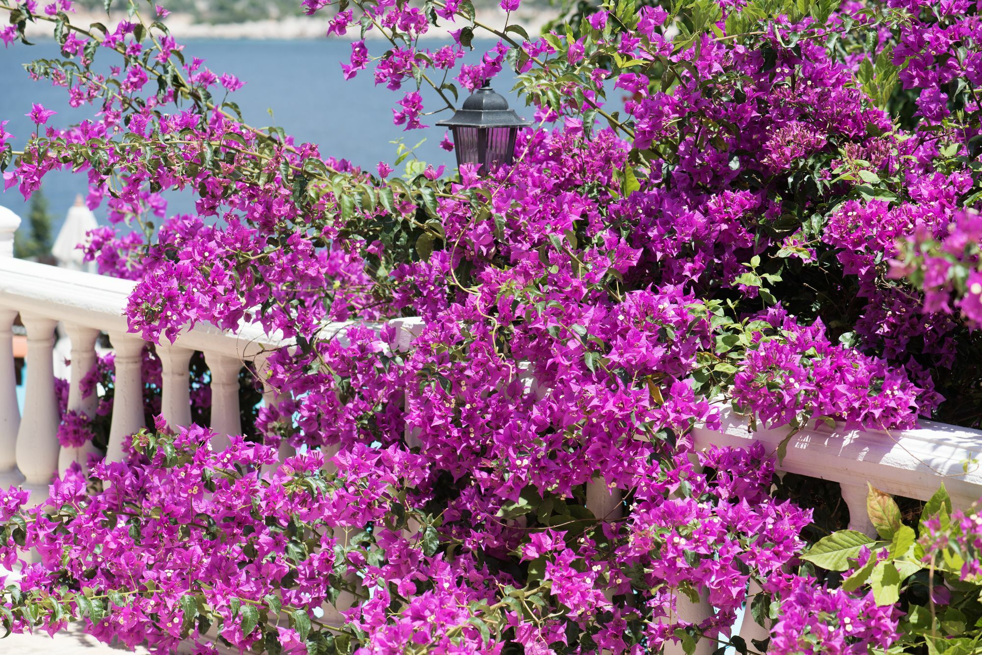 Club Hotel Barbarossa Kaş Exteriér fotografie